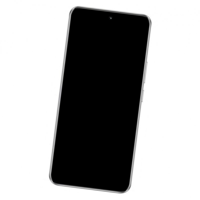 Honor Honor 100 Battery