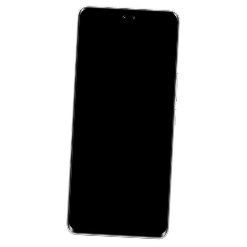 Honor Honor 200 Pro Battery