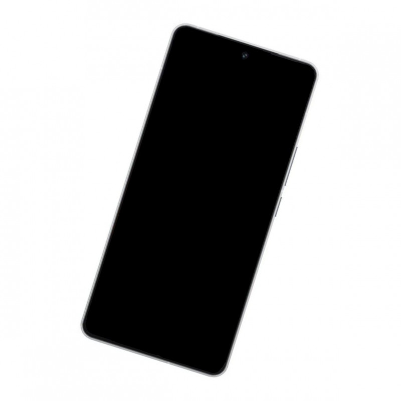 iQOO iQOO 12 Battery