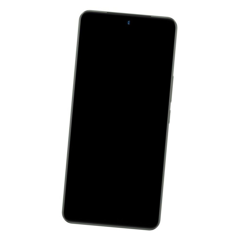 Vivo Vivo Y200 Battery
