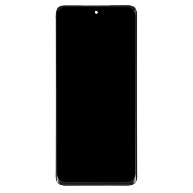Honor Honor 100 Display