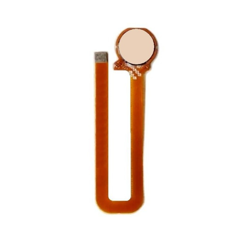 Fingerprint Sensor with Flex Cable For Nubia N1 64GB White Fingerprint Sensor with Flex Cable For Nubia N1 64GB White