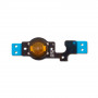Buy Now Flex Cable For Apple iPhone 5c